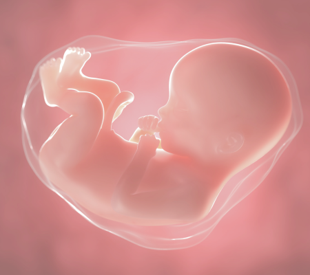 module 6 - empreintes traumatiques de la vie prénatale